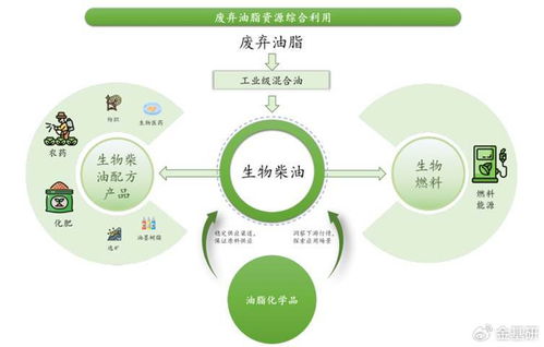 豐倍生物 技術創新驅動綠色全產業鏈，生物柴油市占率領先
