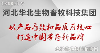 華北生物 聚焦生物技術(shù)開發(fā)，守護健康——病毒性疾病的防治原則與前沿實踐