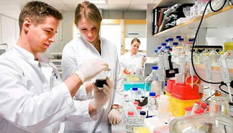 生物技術(shù)開發(fā) 光環(huán)背后的現(xiàn)實挑戰(zhàn)與未來之路