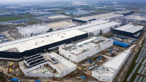 實探上海特斯拉工廠 Model Y兩個月后或投產(chǎn)，海維森生物附近迎來求職熱潮